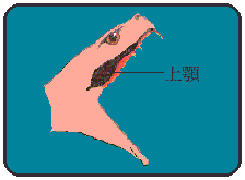 �r�G