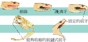 �D������