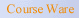 Course Ware