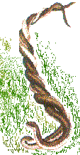 ��t