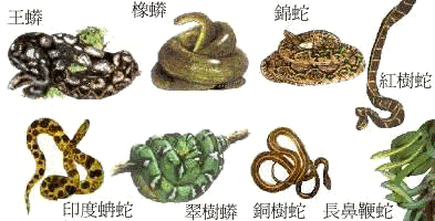 �D������