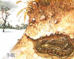 �H���Q��