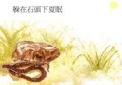 f`